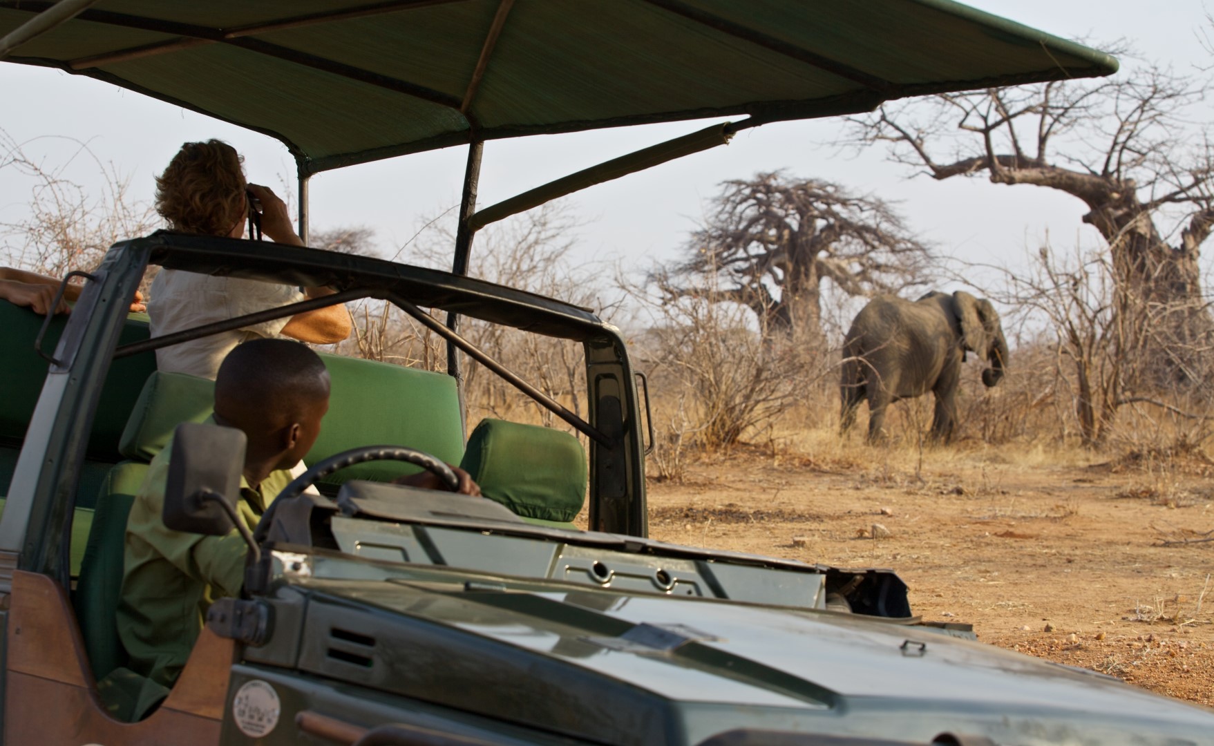 wp-content/uploads/itineraries/Southern Tanzania/ruaha-river-lodge-safari-1 (Large).jpg